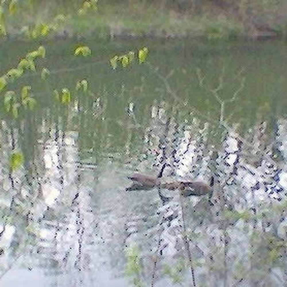 Meet your Posher, Pamela